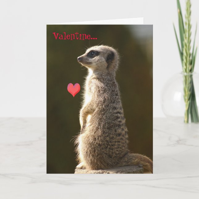 Cartão De Festividades Meerkat Valentine Card 005 (Frente)
