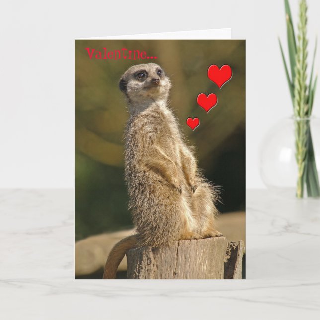 Cartão De Festividades Meerkat Valentine Card 006 (Frente)