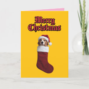 Cartão De Festividades Meia de Natal de Beagle