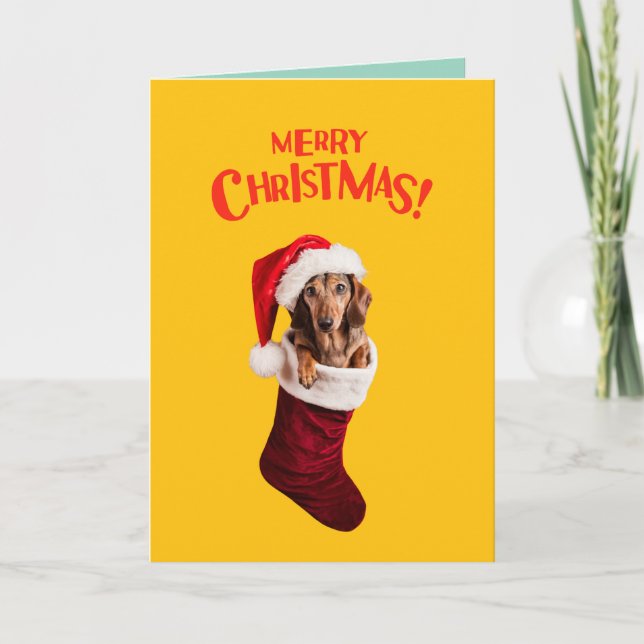 Cartão De Festividades Meia de Natal de Dachshund (Frente)