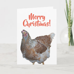 Cartão De Festividades Mel a Galinha Wyandotte de Renda Azul Feliz Natal