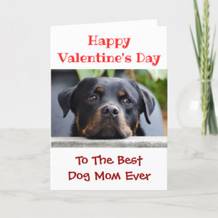 Cartão De Festividades Melhor Cachorro Mãe De dia de os namorados Alguma 