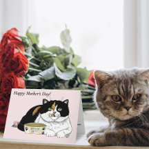 Melhor Mãe de Gato Cálado Mimada Dia das Mães Rosa