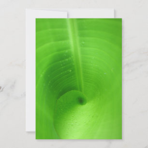 Cartão De Festividades Melhor placa de 5" x 7"