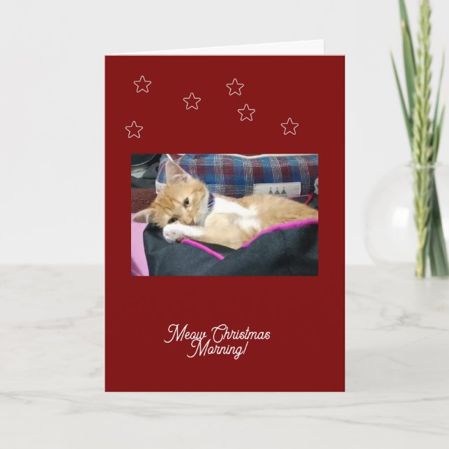 Cartão De Festividades Meow Christmas, foto, texto, substituível (Frente)
