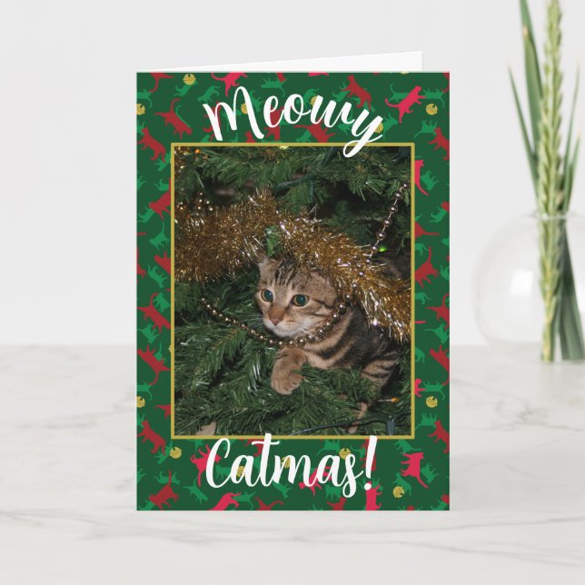 Cartão De Festividades Meowy Catmas - Padrão Vermelho de Natal Verde (Frente)