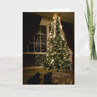 Cartão De Festividades Meowy Christmas