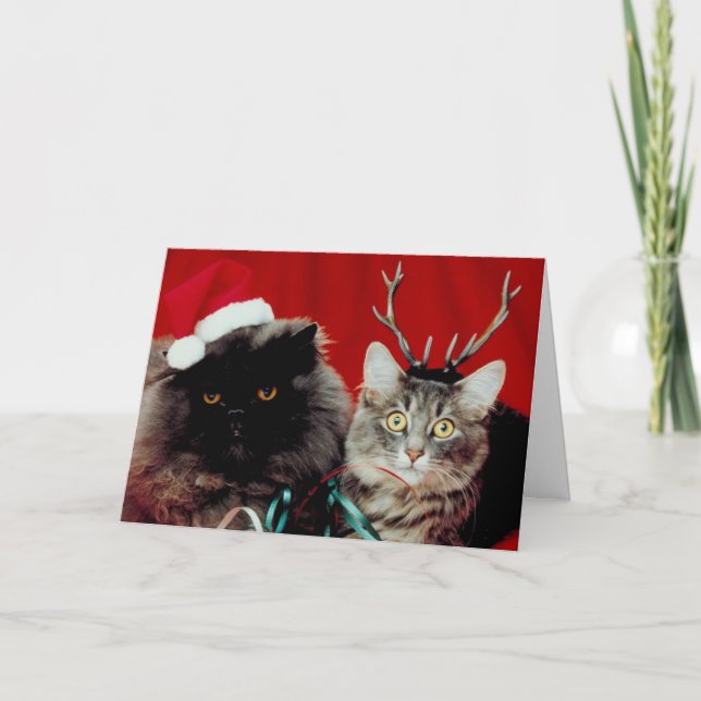 Cartão De Festividades Meowy Christmas card (Frente)