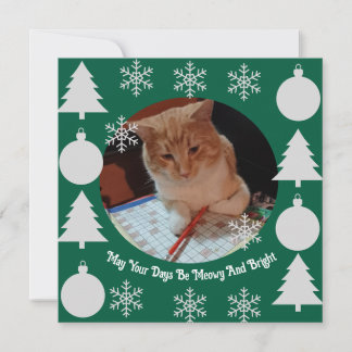 Cartão De Festividades Meowy e Brilhante, Foto de Gato, Natal 