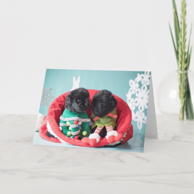 Cartão De Festividades Merrily and gratefully Elf Puppies (Frente)