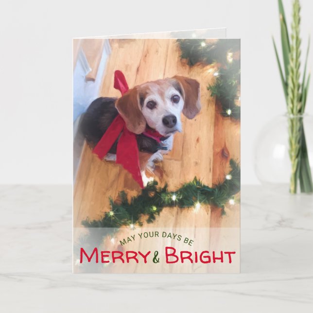 Cartão De Festividades Merry and Bright Beagle Dog Red Bow Christmas (Frente)