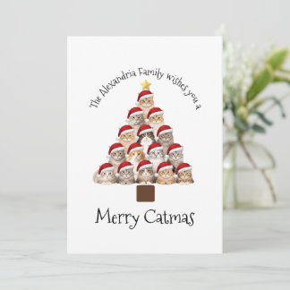 Cartão De Festividades Merry Catmas Personalized Family Christmas Holiday