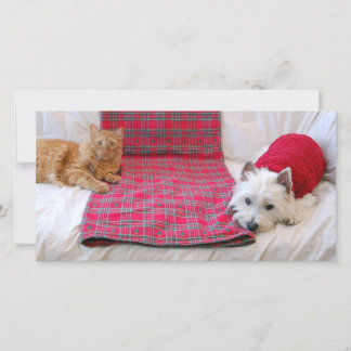 Cartão De Festividades Merry Christmas