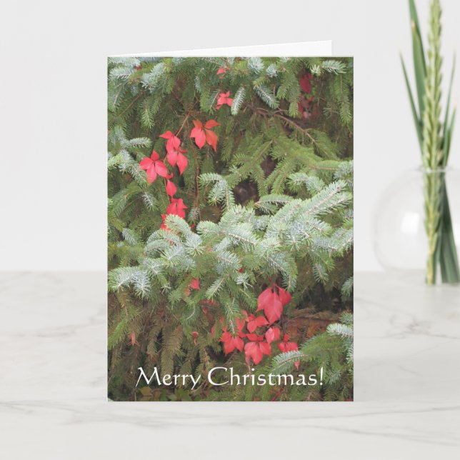 Cartão De Festividades Merry Christmas (Frente)