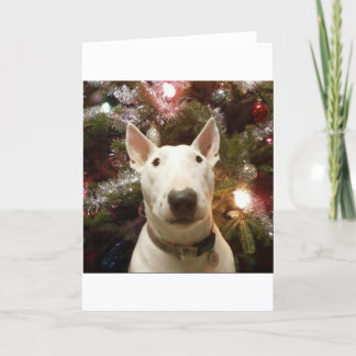 Cartão De Festividades merry christmas