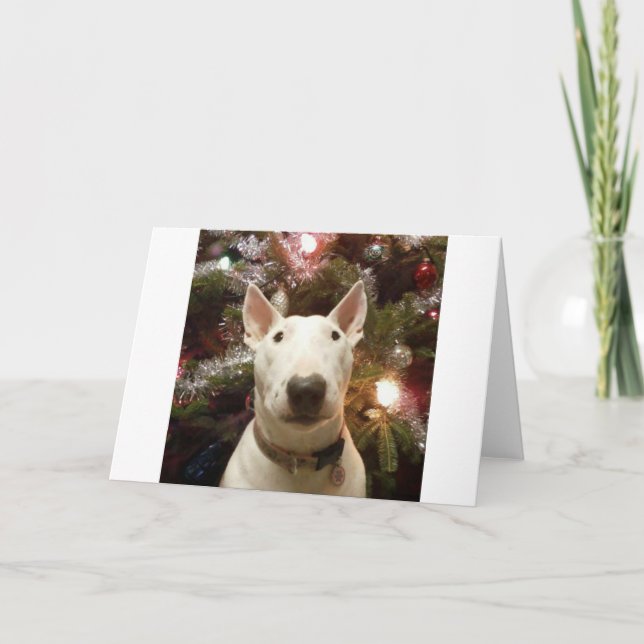 Cartão De Festividades merry christmas (Frente)