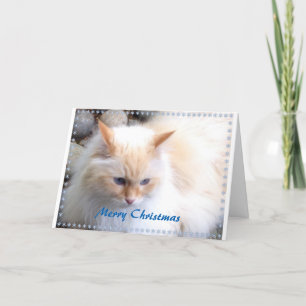 Cartão De Festividades Merry Christmas