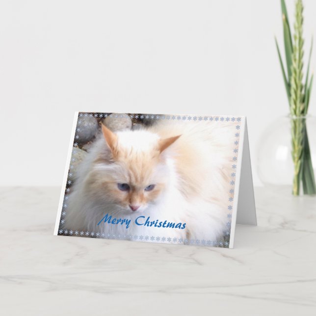 Cartão De Festividades Merry Christmas (Frente)