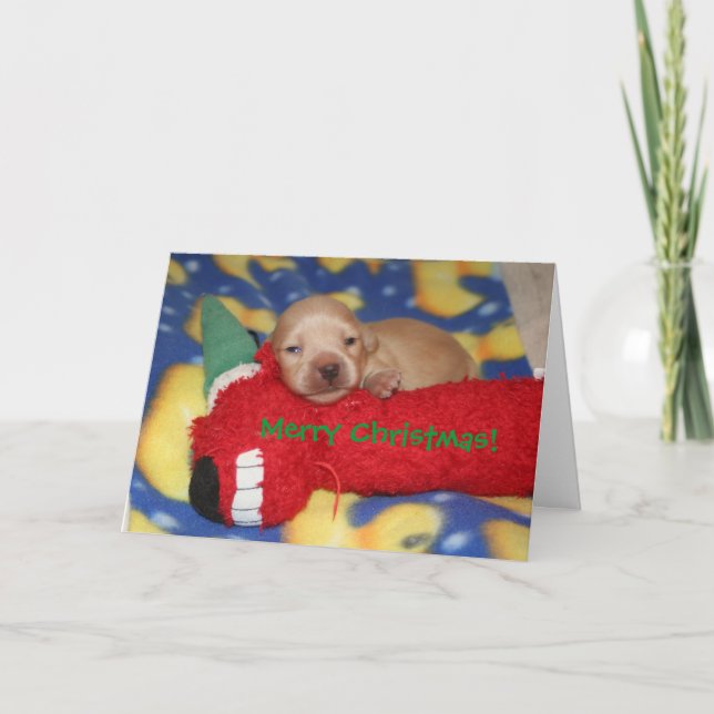 Cartão De Festividades Merry Christmas! (Frente)