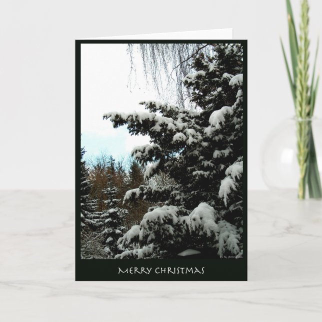 Cartão De Festividades Merry Christmas (Frente)