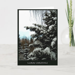 Cartão De Festividades Merry Christmas