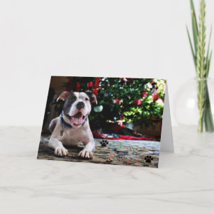 Cartão De Festividades Merry Christmas