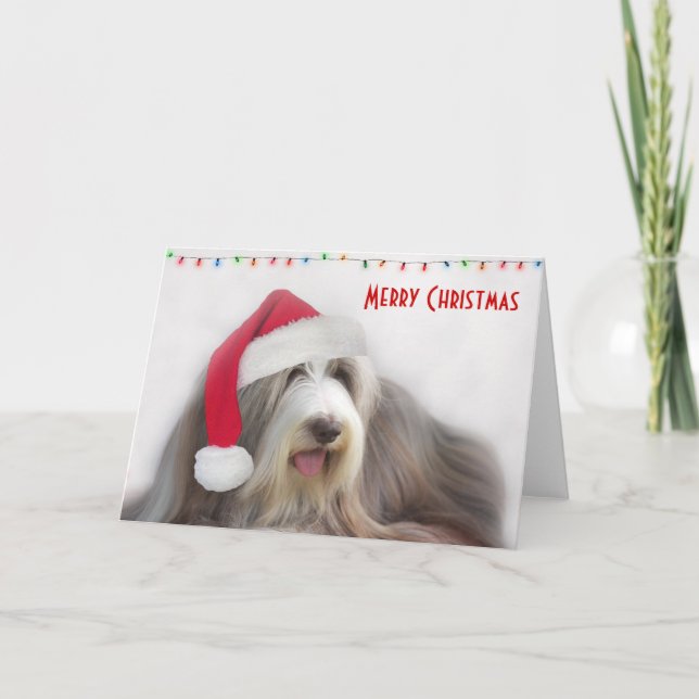 Cartão De Festividades Merry Christmas Bearded Collie (Frente)