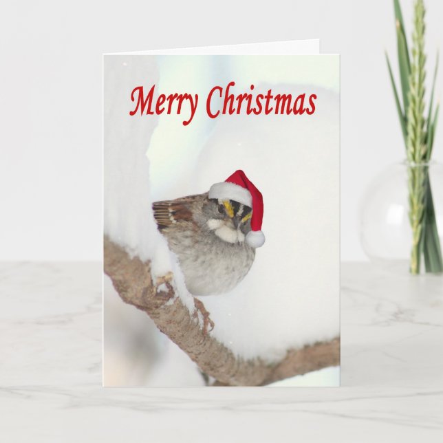 Cartão De Festividades Merry Christmas bird with Santa hat greeting card (Frente)