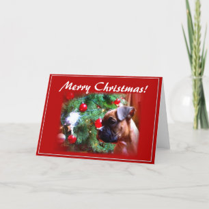 Cartão De Festividades Merry Christmas boxer puppy greeting card