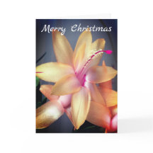 *~* Merry Christmas Cactus Flower Customize