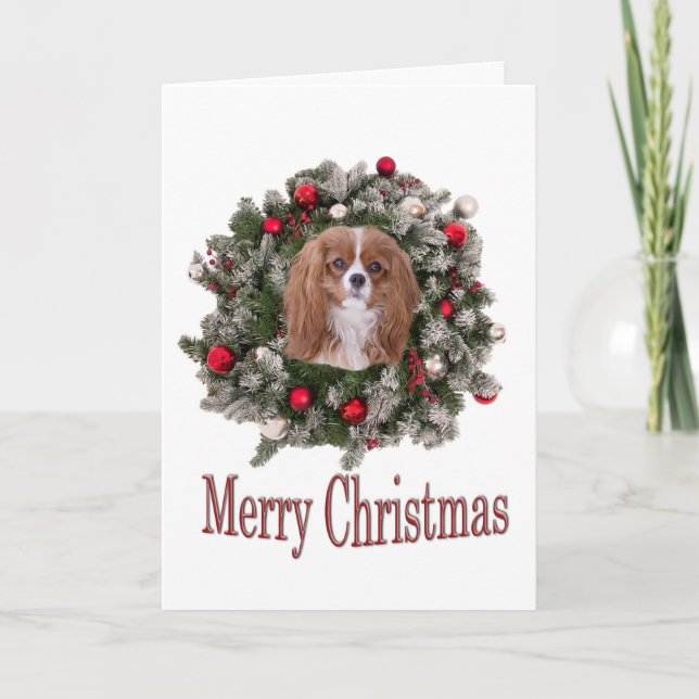 Cartão De Festividades Merry Christmas Cavalier King Card (Frente)