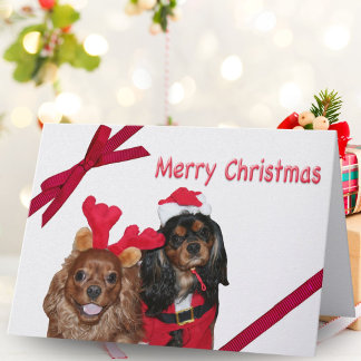 Cartão De Festividades Merry Christmas Cavalier King Charles Red Ribbon
