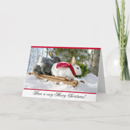 Cartão De Festividades Merry Christmas Fluffy Bunny Card