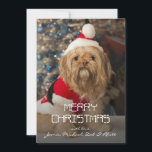 Cartão De Festividades Merry christmas from Santa paws<br><div class="desc">Merry christmas from santa paws</div>