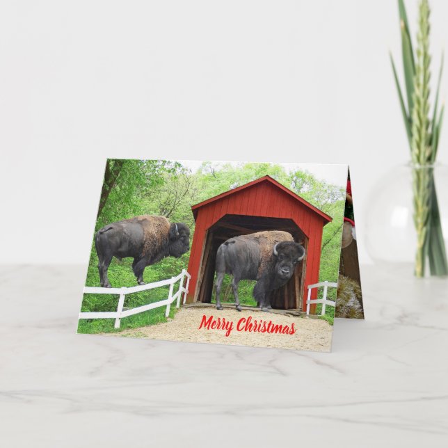 Cartão De Festividades Merry Christmas Funny Buffalo Red Covered Bridge (Frente)