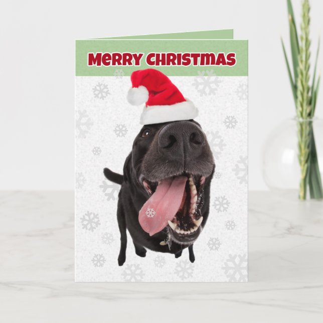 Cartão De Festividades Merry Christmas Funny Dog Catching Snowflakes (Frente)