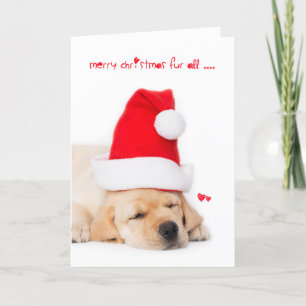 Cartão De Festividades Merry Christmas Fur All Yellow Lab puppy