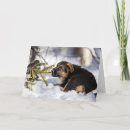 Cartão De Festividades Merry Christmas German Shepherd card