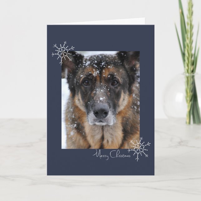 Cartão De Festividades Merry Christmas German Shepherd in the Snow Card (Frente)