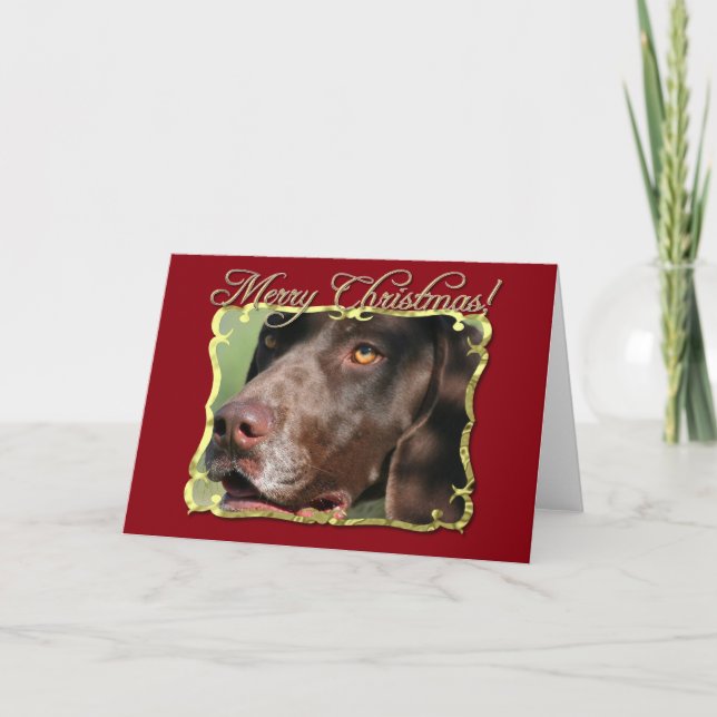 Cartão De Festividades Merry Christmas German Shorthaired pointer dog (Frente)