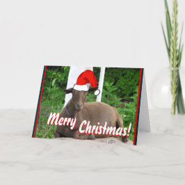 CARTÃO DE FESTIVIDADES MERRY CHRISTMAS GOAT GREETINGS