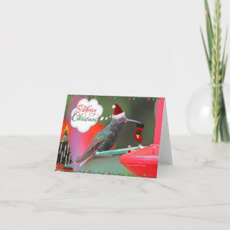 Cartão De Festividades Merry Christmas Hummingbird