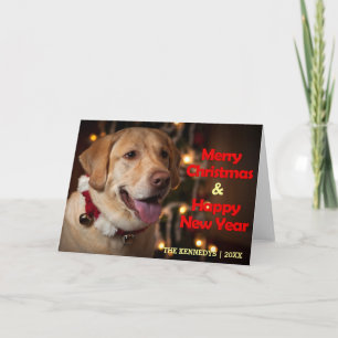 Cartão De Festividades Merry Christmas - Labrador Retriever Bell Collar