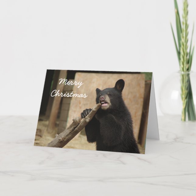 Cartão De Festividades Merry Christmas - Lanikai (Frente)