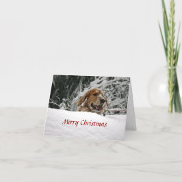 Cartão De Festividades Merry Christmas -Let it Snow