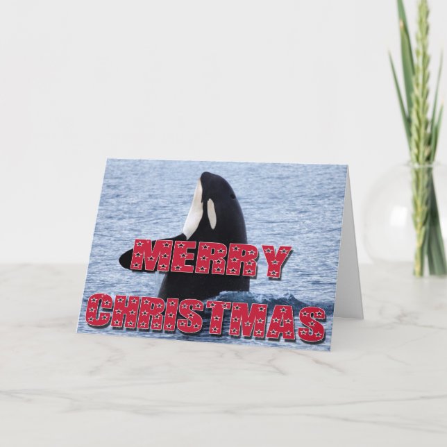 Cartão De Festividades Merry Christmas Orca Whale Spy Hop Holiday Gifts (Frente)