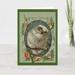Cartão De Festividades Merry Christmas Owl