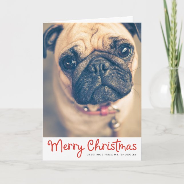 Cartão De Festividades Merry Christmas Pet Dog | Photo Holiday Greeting (Frente)