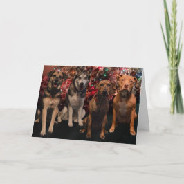 Cartão De Festividades Merry Christmas Pups Card