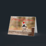 Cartão De Festividades Merry Christmas Santa Chickadee Card<br><div class="desc">Little black-capped chickadee perched on bench wearing a Santa hat... .. ready to wish all a Merry Christmas! Totally customizable for you to personalize as you please!</div>